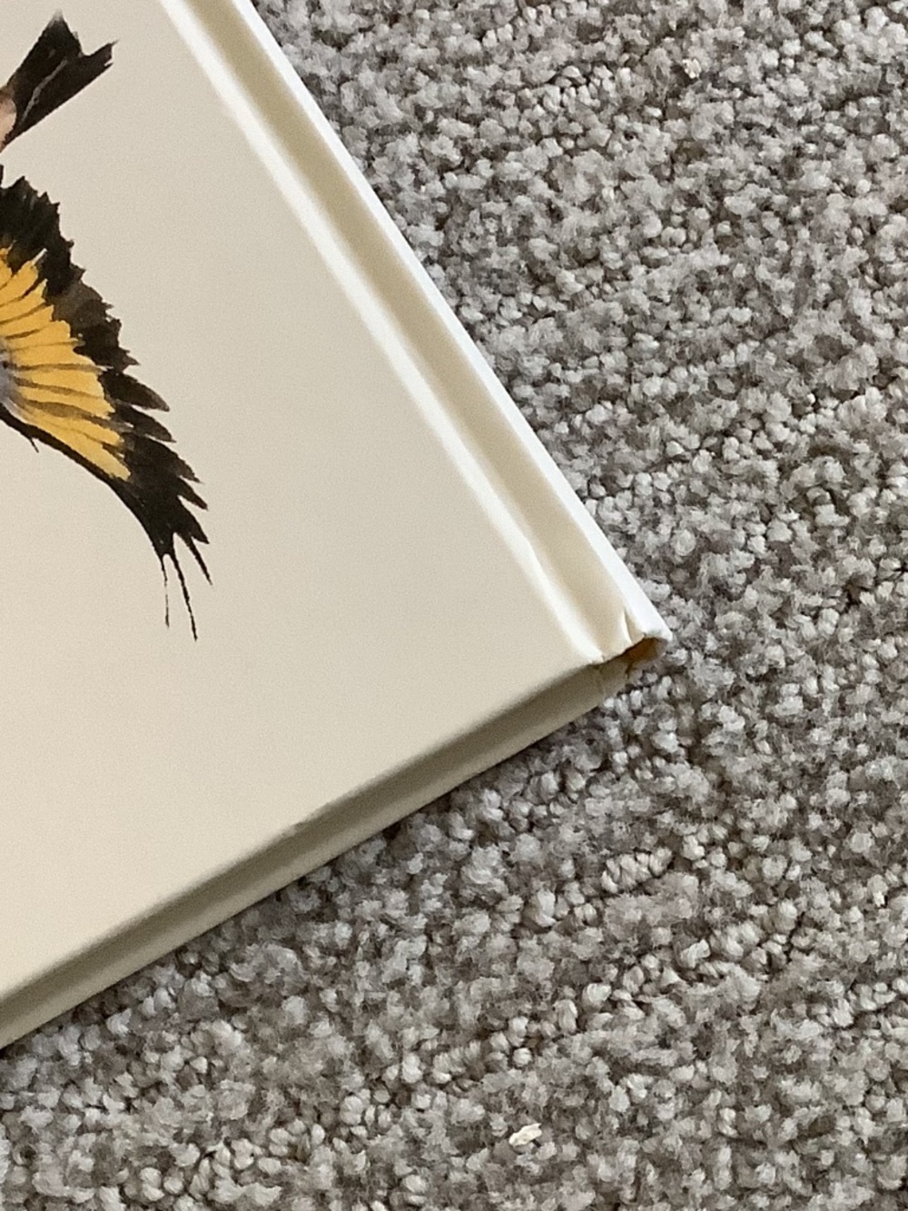 Bundle: The Lost Words Book and Puzzle - Picture 12 of 13